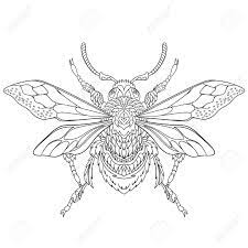 Stylise Dessin Anime Insecte Coleoptere Isole Sur Fond Blanc Esquisse Pour Antistress Adulte Coloriage Griffonnage Elements De Design Floral Pour Livre De Coloriage Clip Art Libres De Droits Vecteurs Et Illustration