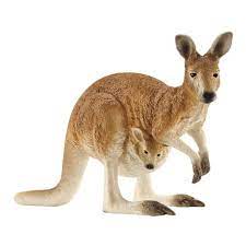 Canguro Kangaroo Species Kangaroo Animal Figurines