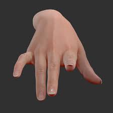 3d Realistic Female Hand Rigged Hand Model Hand Reference Hand Pose