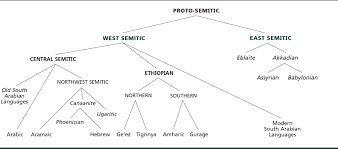Chart Of The Semitic Family Tree The American Heritage