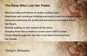 The Rose Who Lost Her Petals