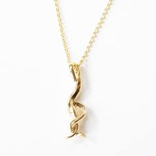 Image result for Monotes elegans