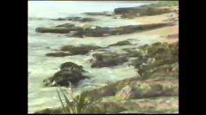 If there is no picture in this collection that you like, also look at other collections of backgrounds on our site. Vintage Hawaii Stock Footage Royalty Free Stock Videos Pond5