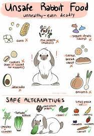 Which Foods Are Safe And Not Safe For Bunnies Bunny Bunnies Rabbit Rabbits Cuteanimals Pets Pet Infograph Pet Bunny Rabbits Pet Rabbit Care Bunny Care
