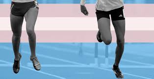 So, you've come to check out the transexual seduction of the quarter back album. Uym77feggbvyum