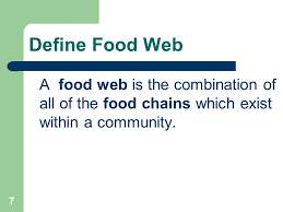 Ecologists can broadly lump all life forms into one of two categories called trophic levels: What Is The Dictionary Definition Of Food Web