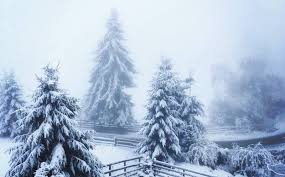 Maybe you would like to learn more about one of these? Ziua De Cluj A Venit Iarna Top 10 Peisaje IngheÅ£ate Din Cluj