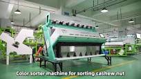 High Precision Output Dried Shrimp Fish Shrimp Seafoods Shape Size Color  Sorter AI Color Sorting Machine