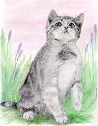 Pin On How To Draw Animals