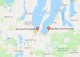 Marina bay animal hospital has been providing exceptional patient care to the community since 1993, when it was founded by doctors larry and kim fleming. Bay Area Pet Hospitals 24 Hours Veterinary Hospital In Traverse City Michigan