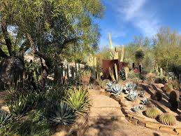 Random Garden Photo Gardening Garden Diy Home Flowers Roses Nature Landscaping Horticulture Garden Photos Urban Garden Photo