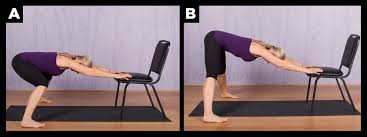 Top Chair Yoga Poses For Seniors Chair Pose Yoga Chair Yoga Downward Dog Yoga