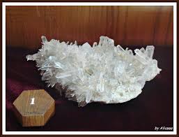 Niște fosile de plante de la chiuzbaia, niște mostre din variate tipuri de roci, dar predominant flori de mină provenite din geode ale munților. Muzeul De Mineralogie Din Baia Mare Enciclopedia Calatorului Independent