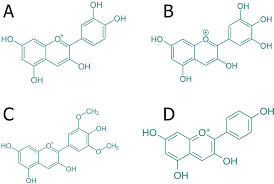 Representatives Of Anthocyanins A Cyanidin B Delphinidin C Malvidin Download Scientific Diagram