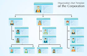 What Are The Types Of Organizational Charts