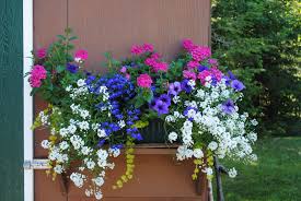 Pin On Planters
