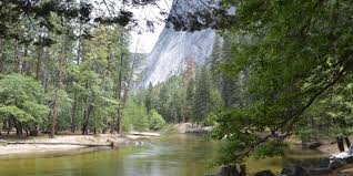 Yosemite national park will open additional campgrounds during the 2021 summer camping season, with social distancing measures in place. Yosemite Housekeeping Camp Yosemite National Park Ca What To Know Before You Bring Your Family