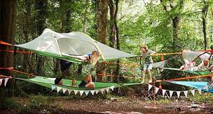 Stingray is the world leading music service provider offering the best music for every moment: What Is A Tree Tent Tentsile