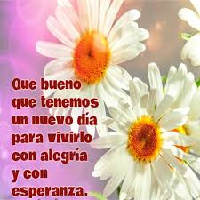 Piropos Para Desear Un Buen Dia Cortas Con Flores Jpg 800 800 Frases Bonitas Frases Cristianas Frases