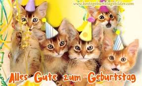 Geburtstag Bilder Katze Geburtstag Geburtstagbilderkatze Happy Birthday Cat Cat Birthday Happy Birthday Cat Images