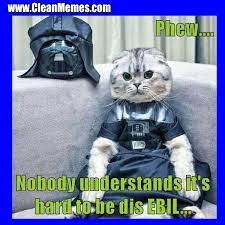 Cat Memes Clean Memes The Best The Most Online Page 2 Cat Memes Clean Angry Cat Memes Animal Memes Clean