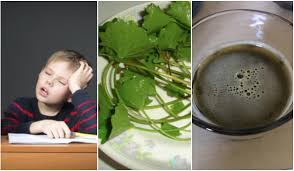 Harini kita buat jus pegaga guys! Anak Letih Setiap Kali Balik Sekolah Doktor Cadang Cuba Buat Jus Pegaga Untuk Segarkan Otak