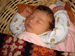 How to care for succulents?