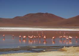 Chile, san pedro de atacama, calle séquitor s/n. Tour Privato Cile Atacama Argrentina Patagonia Sirdar