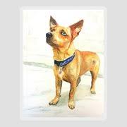 What do dog have short hair? Small Short Hair Brown Dog Painting By Carlin Blahnik Carlinartwatercolor