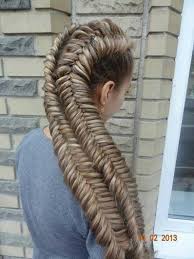 Pin By Katie Swope On Animals Hair Styles Braided Hairstyles Cool Hairstyles