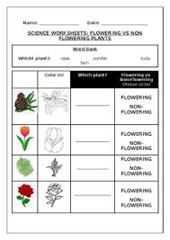 Check spelling or type a new query. Science Worksheets Flowering Vs Non Flowering Plants By Science Workshop