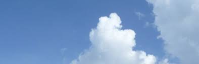 Image result for Blotiella bouxiniana