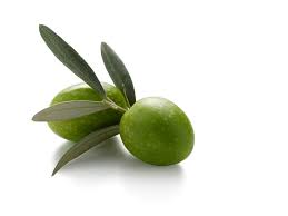 The Most Consumed Olives In The World Ficacci Olive Co