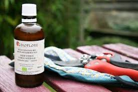 Dans La Cuisine De Gin L Huile De Neem L Amie Du Jardin Bio Mais Pas Seulement Huile De Neem Insecticide Naturel Agriculture Raisonnee