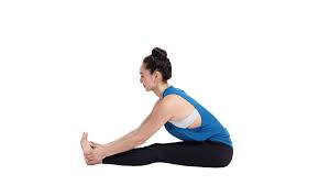 Seated Forward Bend Paschimottanasana Easy Yoga Poses Yoga Poses Advanced Yoga Poses For Beginners