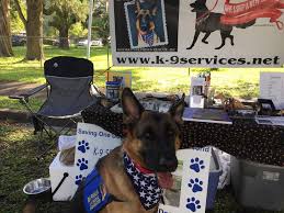 Maybe you would like to learn more about one of these? K9 Services German Shepherd Rescue K 9 Services German Shepherd Rescue
