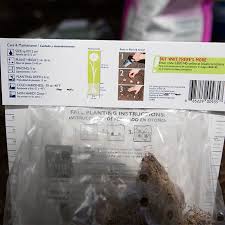 We did not find results for: How To Plant Bulbs