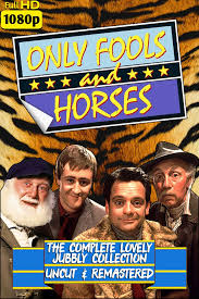 Only Fools and Horses subtitles 