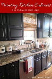 In brief, here are some simple tips and ideas for painting kitchen cabinets if you are going this route with thermofoil doors Black Kitchen Cabinets Paint Ideas Kitchen Retro Kitchen Paint Colors Ideas Kitchen Cabinet Colors Black Painting Ranario Kitchen Design Small Home Kitchens Kitchen Soffit Needless To Say