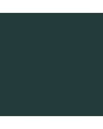 Image result for Hawthorne Green 1950 Ford