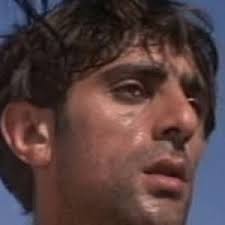 The Wonderful World of Dogs (1990)