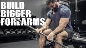 What exercises focus on increasing the size of the forearms? How To Build Bigger Forearms 6 Intense Exercises Youtube