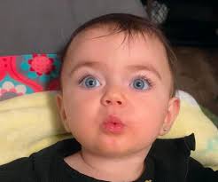 Stay at home mom looking for local play dates