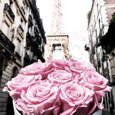 Check spelling or type a new query. Infinity Collection Fleurs De Paris