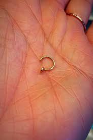 But you struggle to put in a nose ring on a daily basis? 10 Most Common Types Of Nose Rings