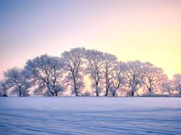 Sonidos del bosque com agua relajante, pájaros y los animales del bosque para dormir y relajarse. 10 Paisajes Naturales Mas Hermosos De China Paisajes Naturales Mas Bellos De China
