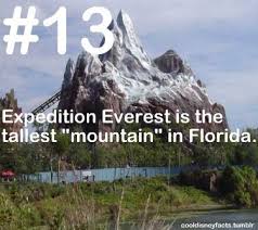 Pin By Rachel On Walt Disney World Disney Facts Disney Fun Facts Disney World Facts