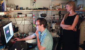 A tiny transparent worm that lives in rotting fruit is helping to unravel how the brain works. In A Tiny Worm Unlocking Secrets Of The Human Brain Nation Bendbulletin Com