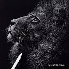 Black And White Pencil Drawings Visothkakvei On Instagram Close Up Of The Quick Drawing Of Lion White Pencil On Black Paper Photograph By Boza Ivanovic Black Paper White Pencil Drawings