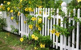 Exploring for the best garden border fencing ideas? 6 Ways Of Building Stunning Garden Border Fence